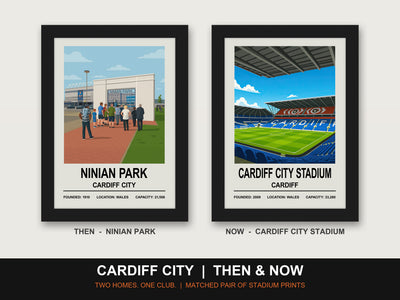Cardiff City Then & Now Stadium Set | Ninian Park + Cardiff City Stadium Prints - framed prints shown together as a set