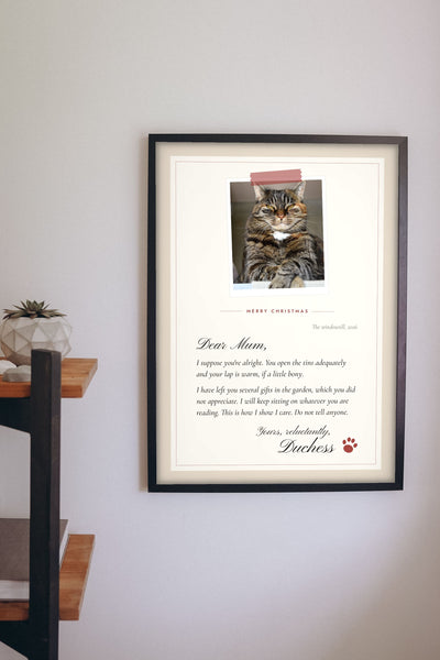Personalised Gift From the Cat Letter Print - hanging on a living room wall