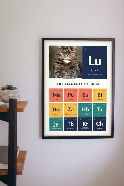 Personalised Cat Periodic Table Print - hanging on a living room wall