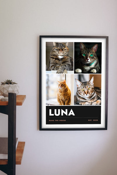Personalised Cat Photo Collage Print with Name - hanging on a living room wall