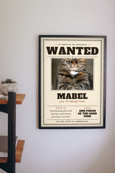 Personalised Cat Wanted Poster Print - hanging on a living room wall