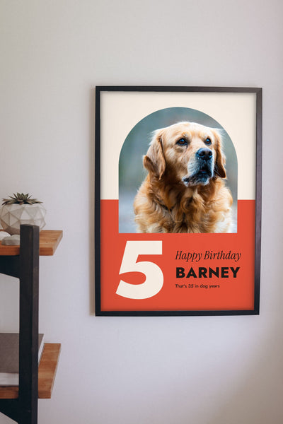 Personalised Dog Birthday Print - hanging on a living room wall
