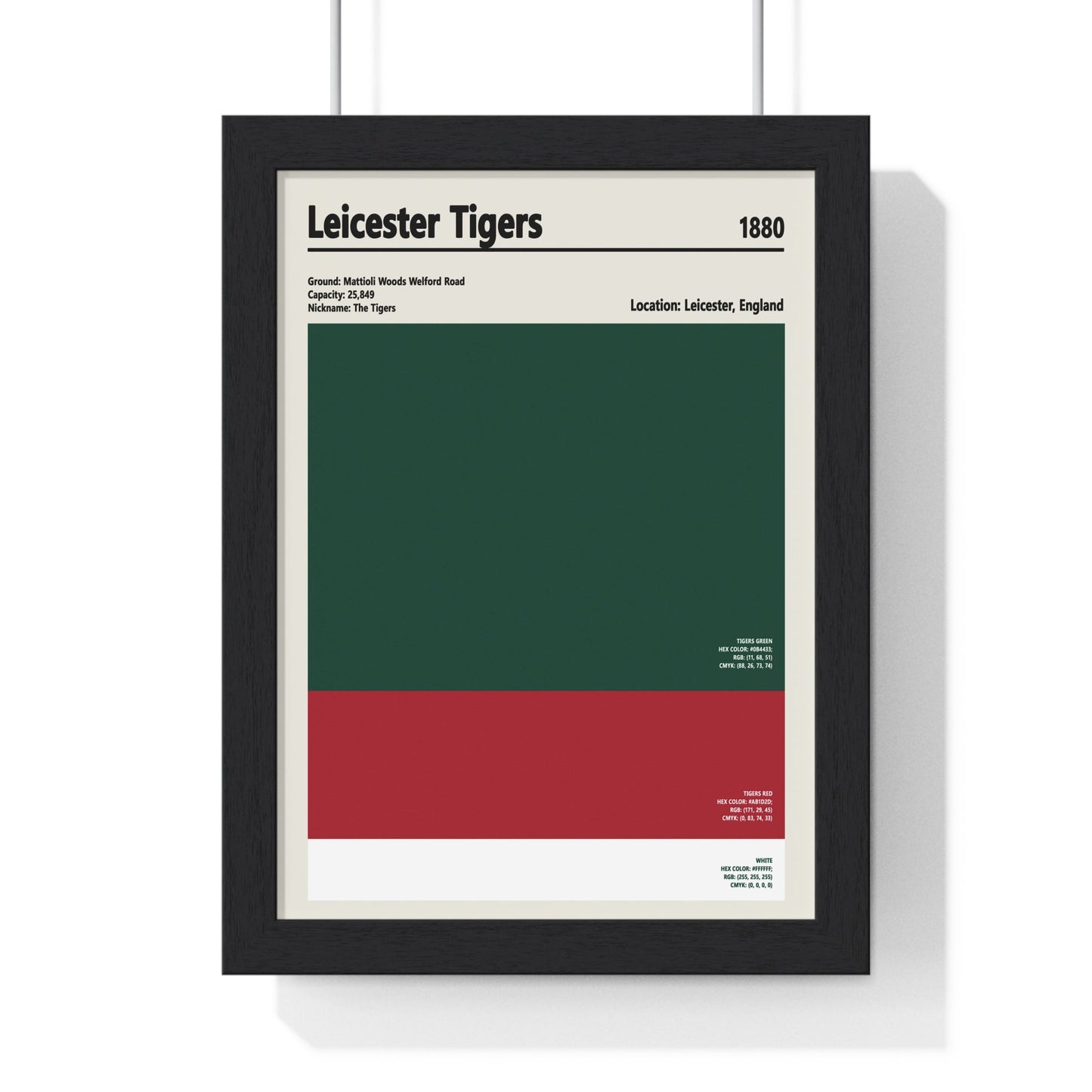 Leicester Tigers Colour Swatch Poster Poster Kingz