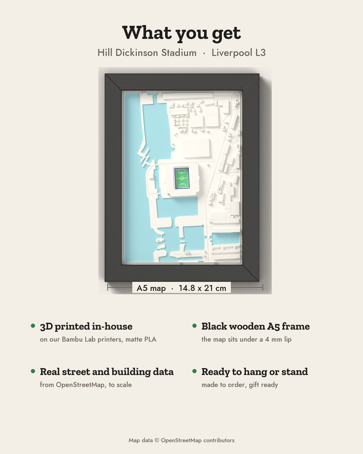 3D Hill Dickinson Stadium Map Framed - What you get: A5 3D stadium map, 14.8 x 21 cm, in a black wooden frame