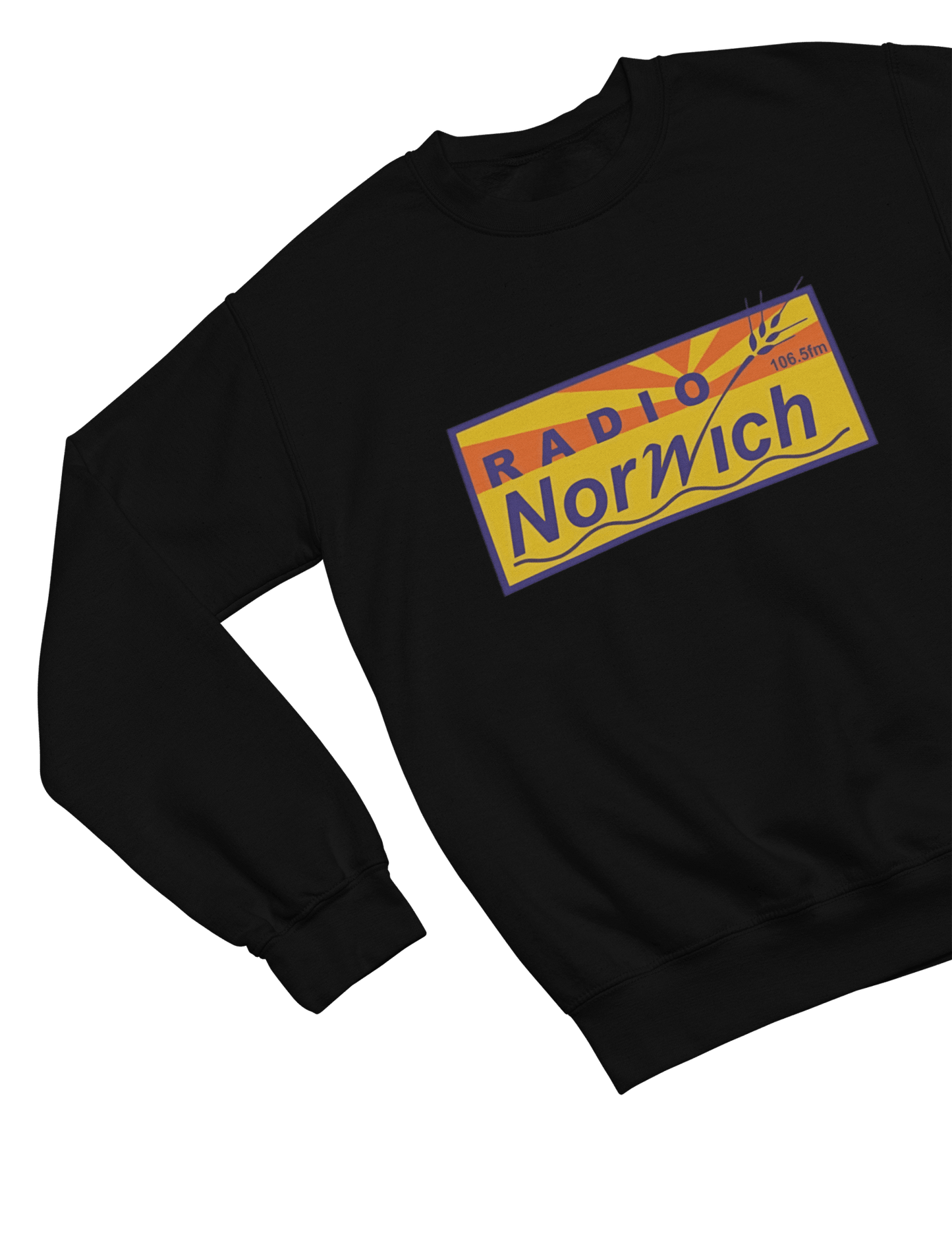 Blue t-shirt with Alan Partridge Radio Norwich & Sweatshirt Parody close-up