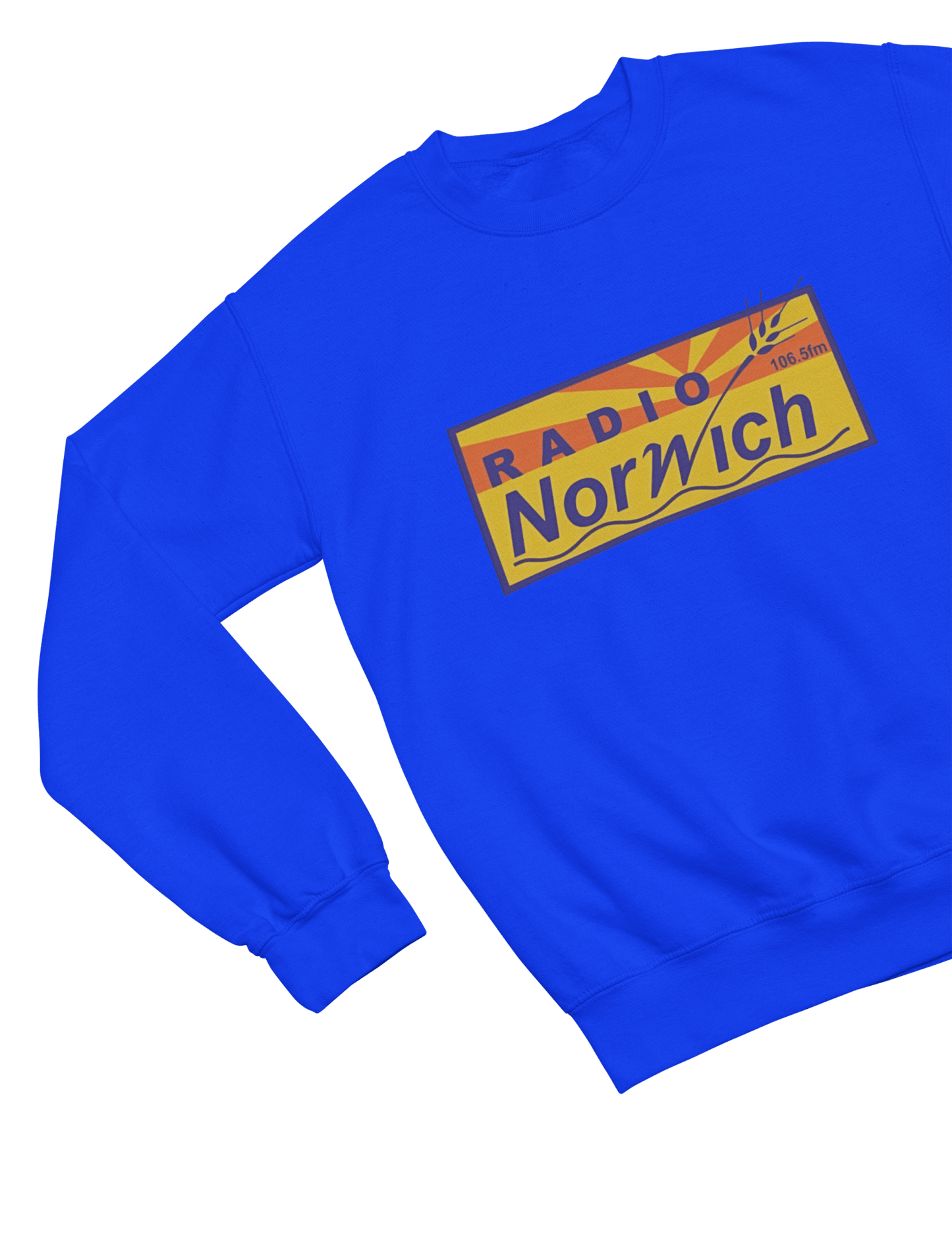 Grey t-shirt with Alan Partridge Radio Norwich & Sweatshirt Parody back view