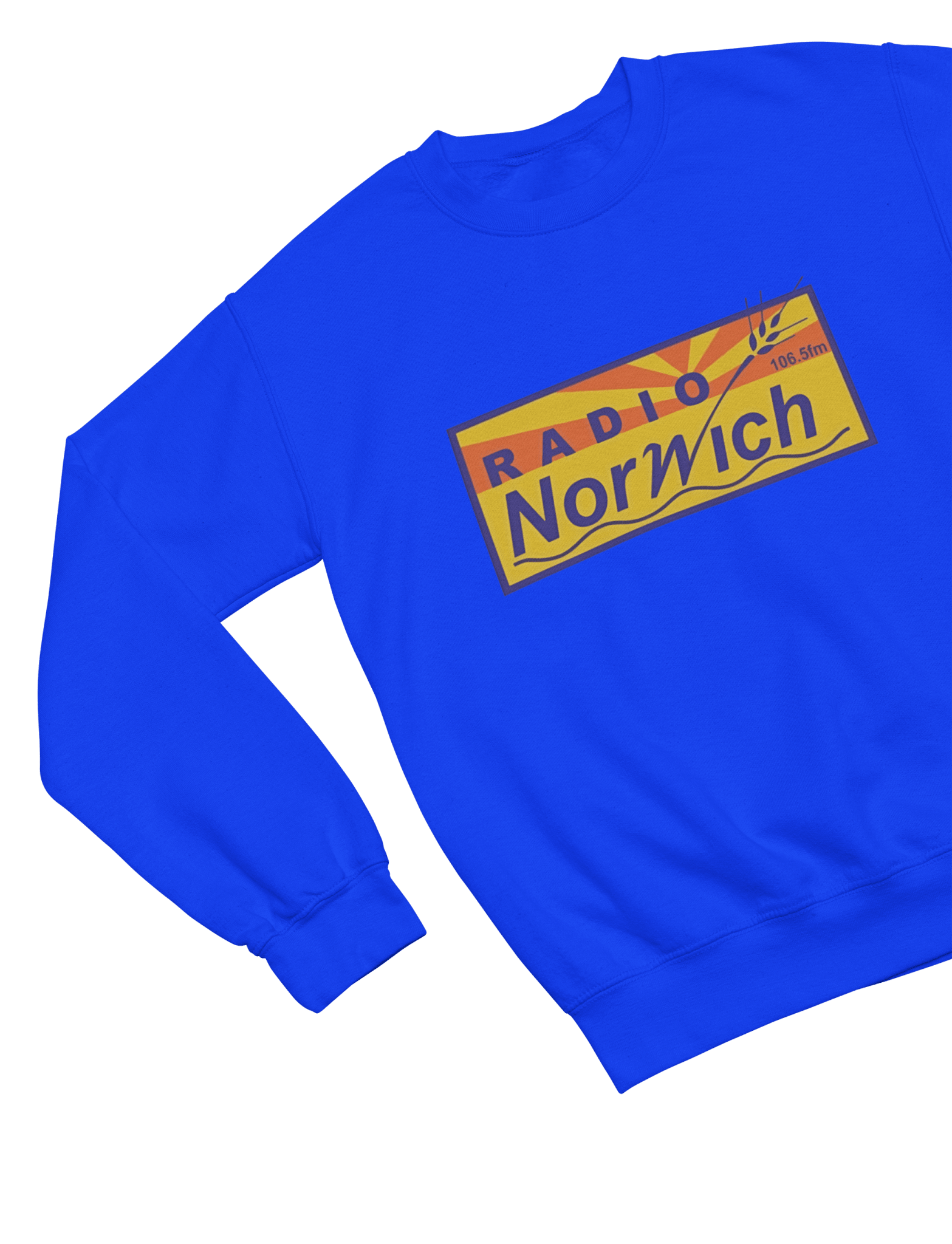 Grey t-shirt with Alan Partridge Radio Norwich & Sweatshirt Parody back view