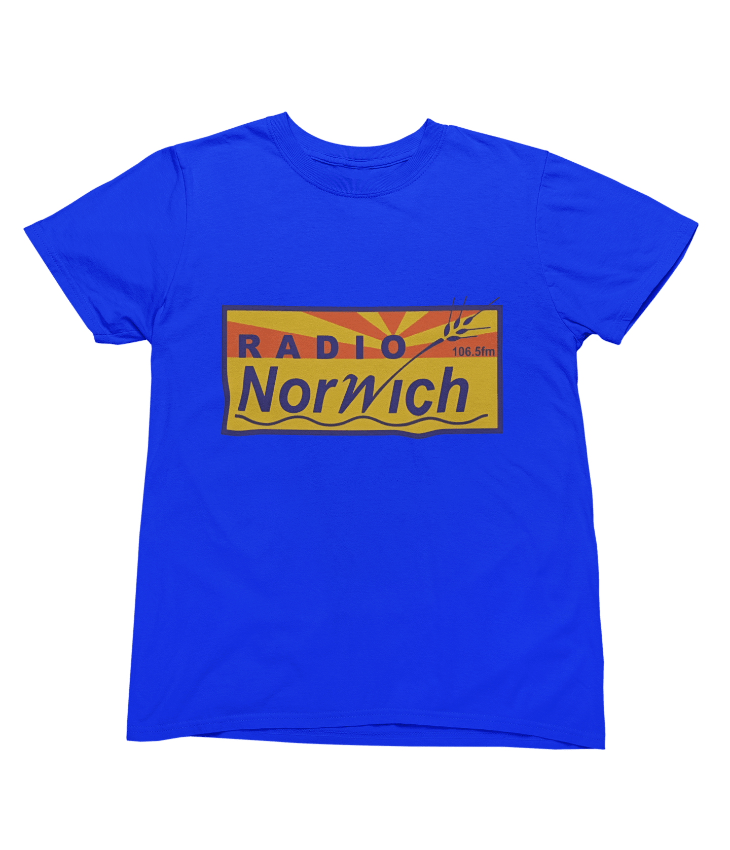 Grey t-shirt with Alan Partridge Radio Norwich & Sweatshirt Parody close-up