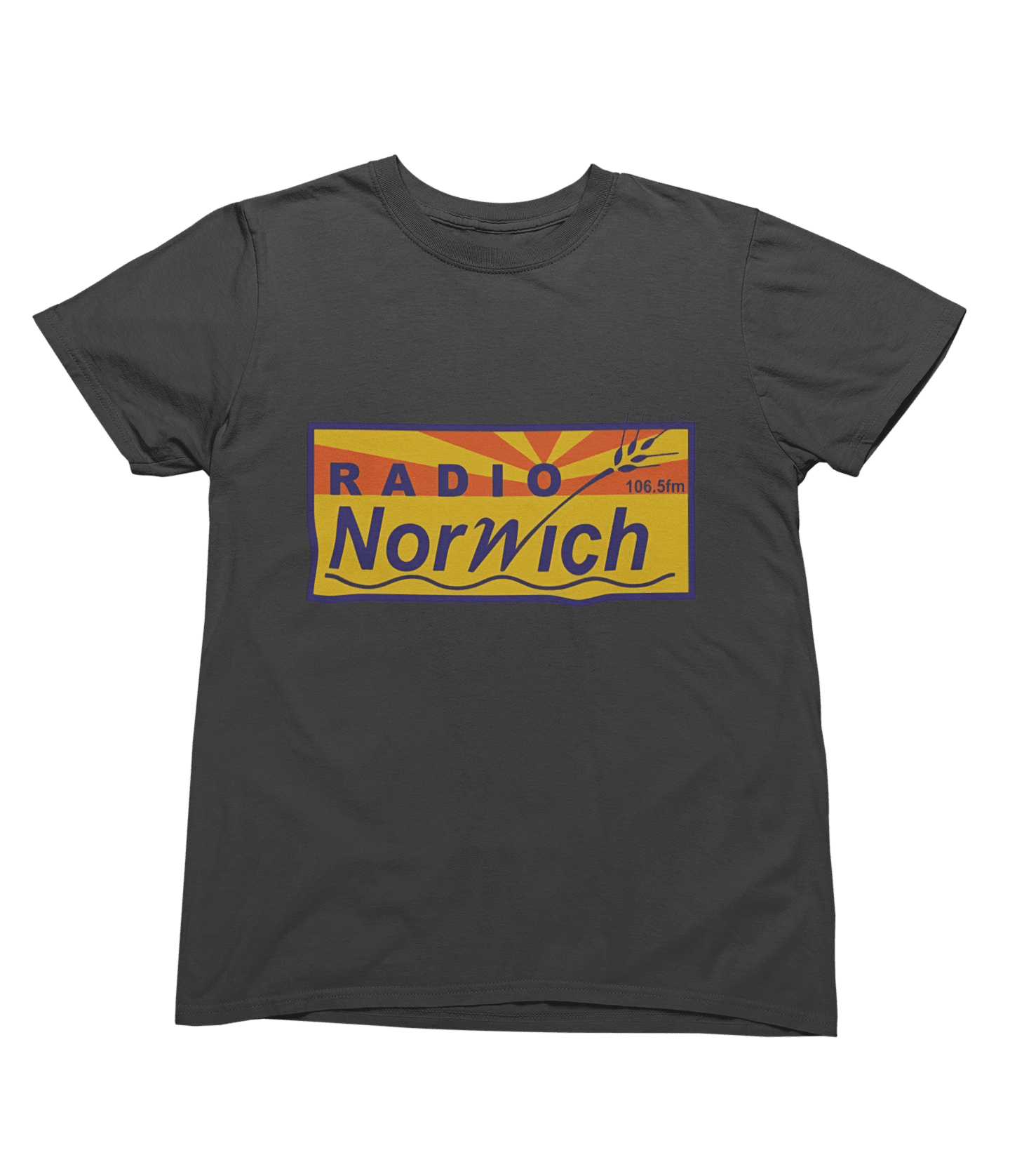 Blue t-shirt with Alan Partridge Radio Norwich & Sweatshirt Parody wall display