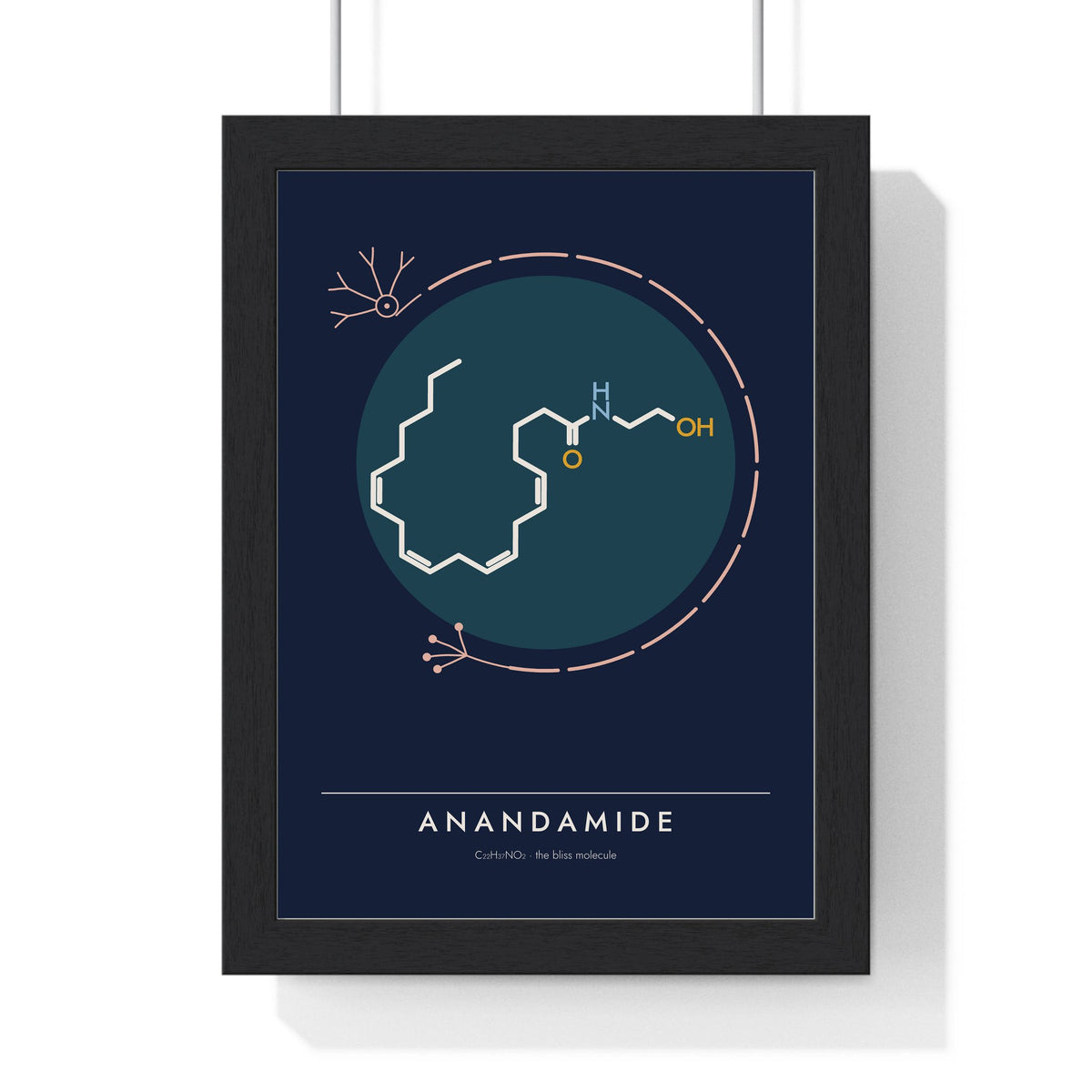 Anandamide Molecule print framed in a black frame, ready to hang