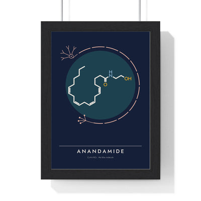 Anandamide Molecule print framed in a black frame, ready to hang
