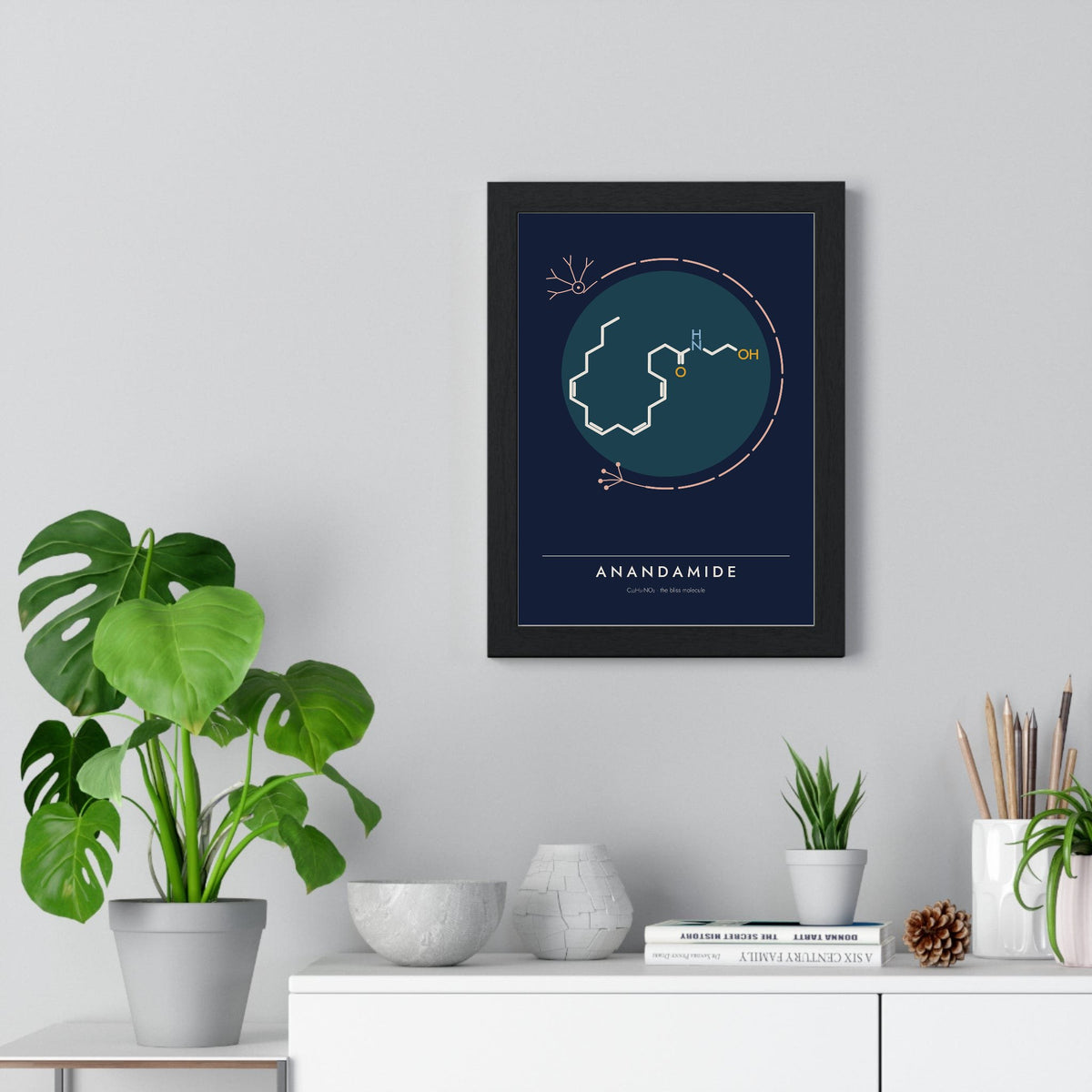 Anandamide Molecule print framed on a living room wall