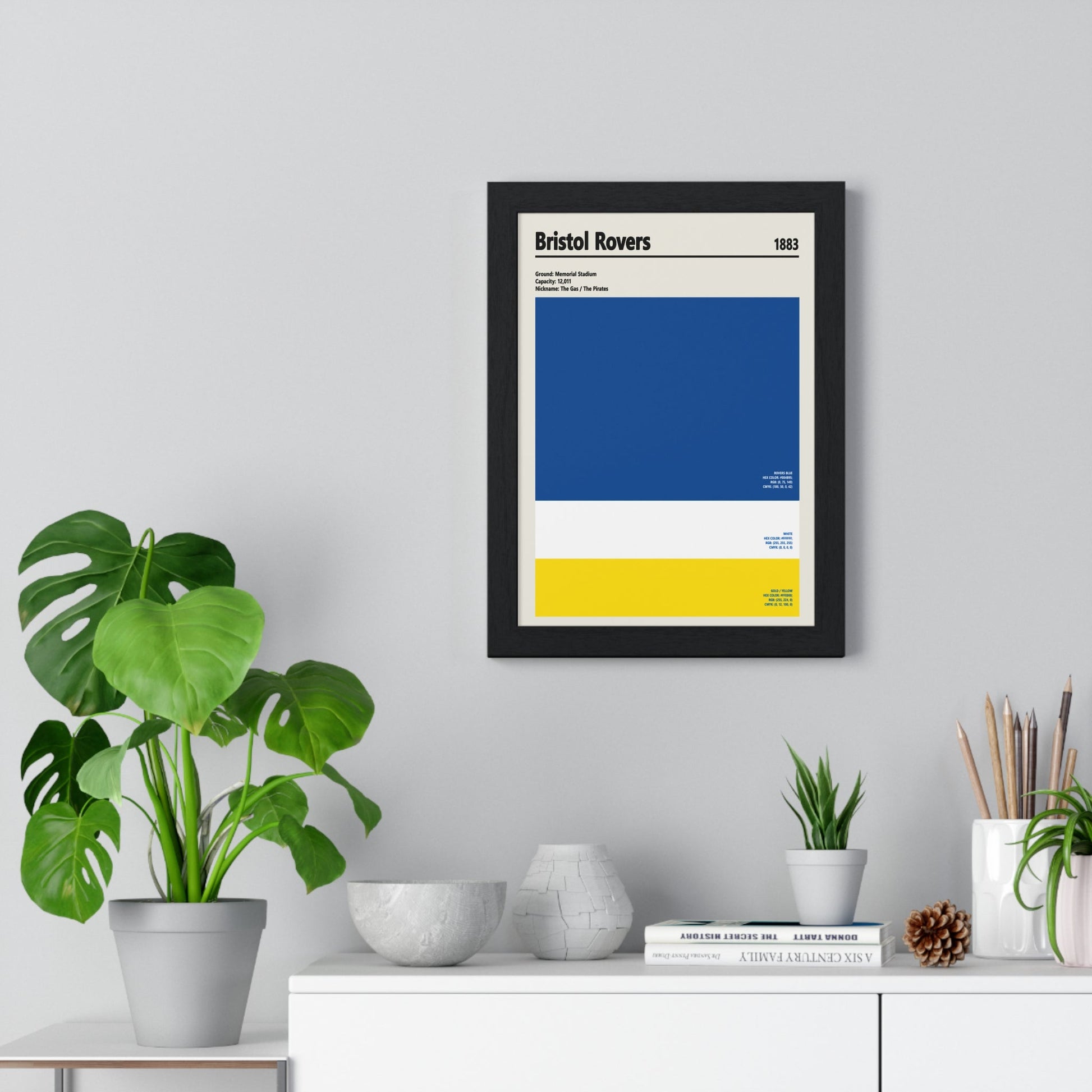 Framed Bristol Rovers colour swatch print