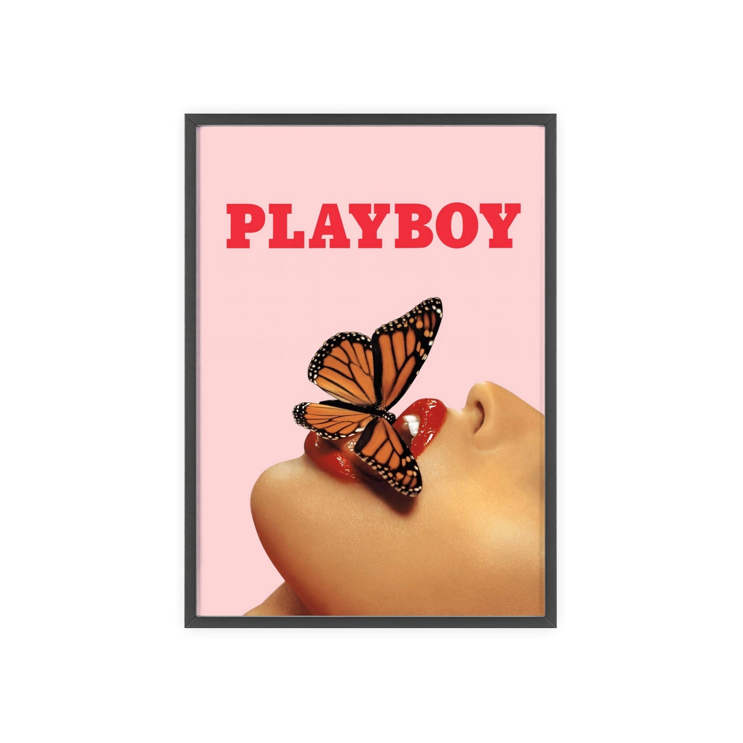 Playboy Vintage Butterfly Poster
