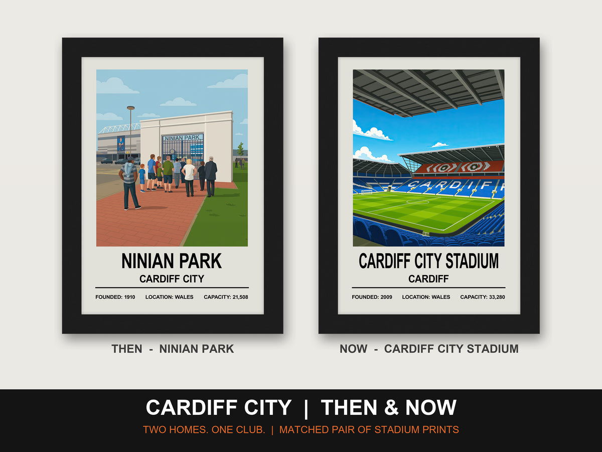 Cardiff City Then & Now Stadium Set | Ninian Park + Cardiff City Stadium Prints - framed prints shown together as a set