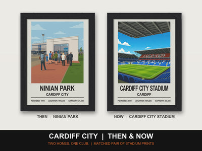 Cardiff City Then & Now Stadium Set | Ninian Park + Cardiff City Stadium Prints