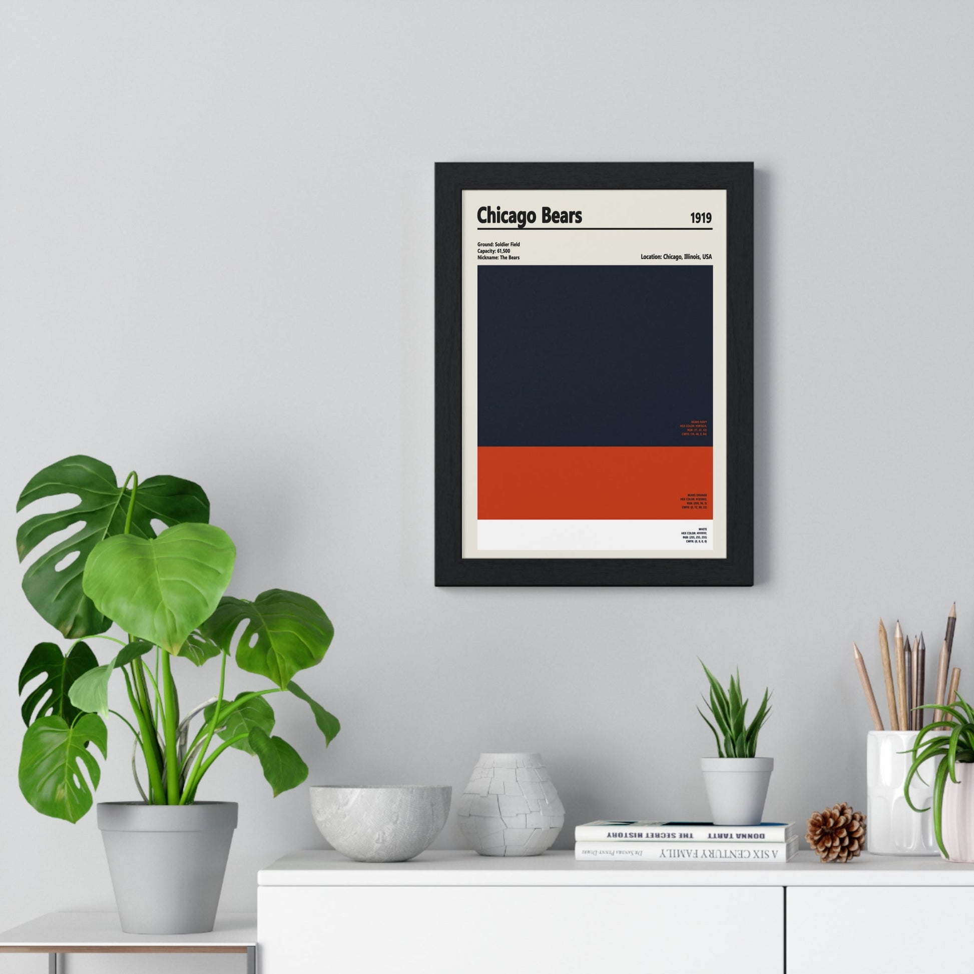 Framed Chicago Bears colour swatch print