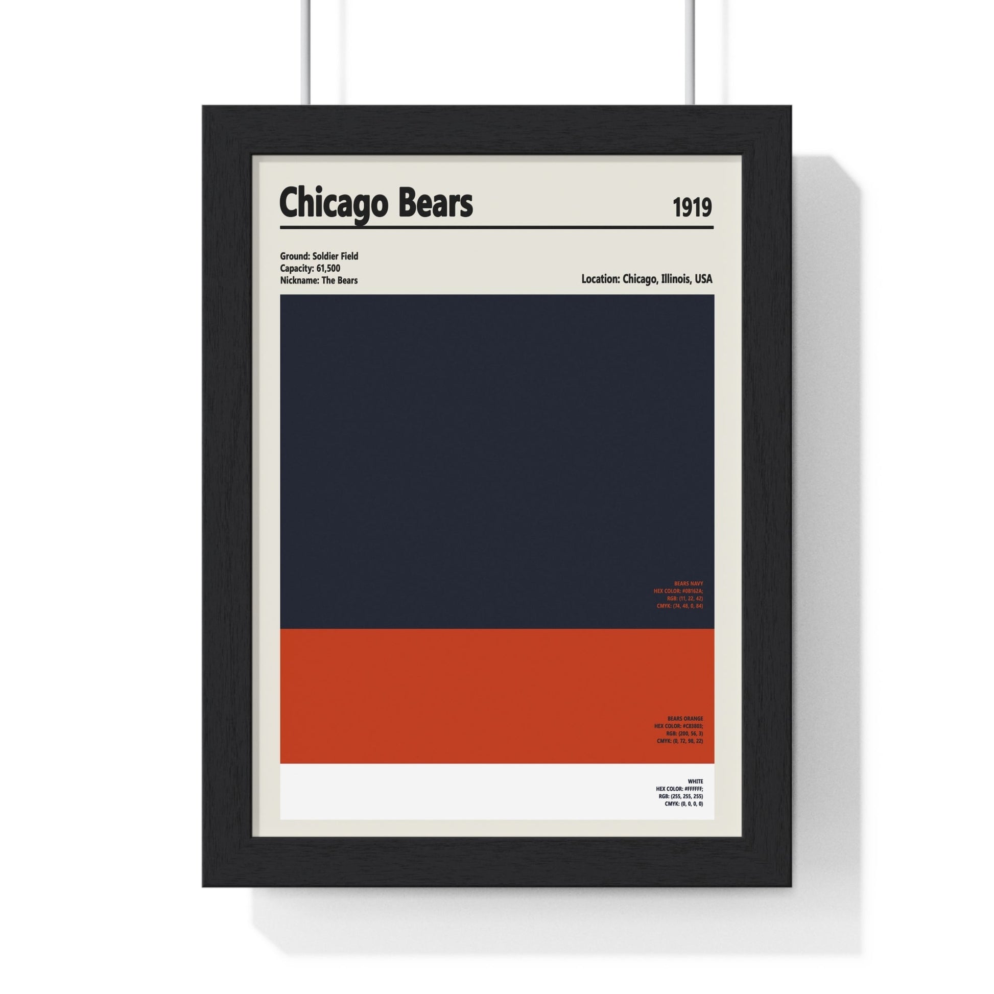 Chicago Bears Colour Swatch Print