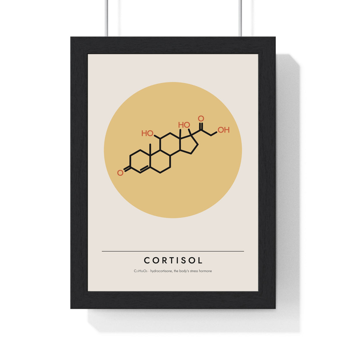 Cortisol Molecule print framed in a black frame, ready to hang