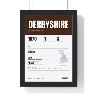 Derbyshire Cricket print framed in a black frame, ready to hang