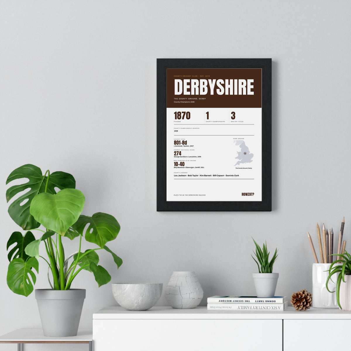 Derbyshire Cricket print framed on a living room wall
