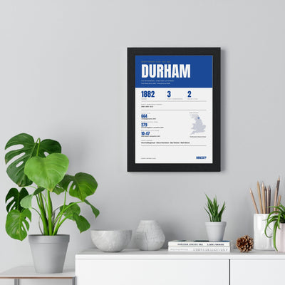 Durham Cricket print framed on a living room wall
