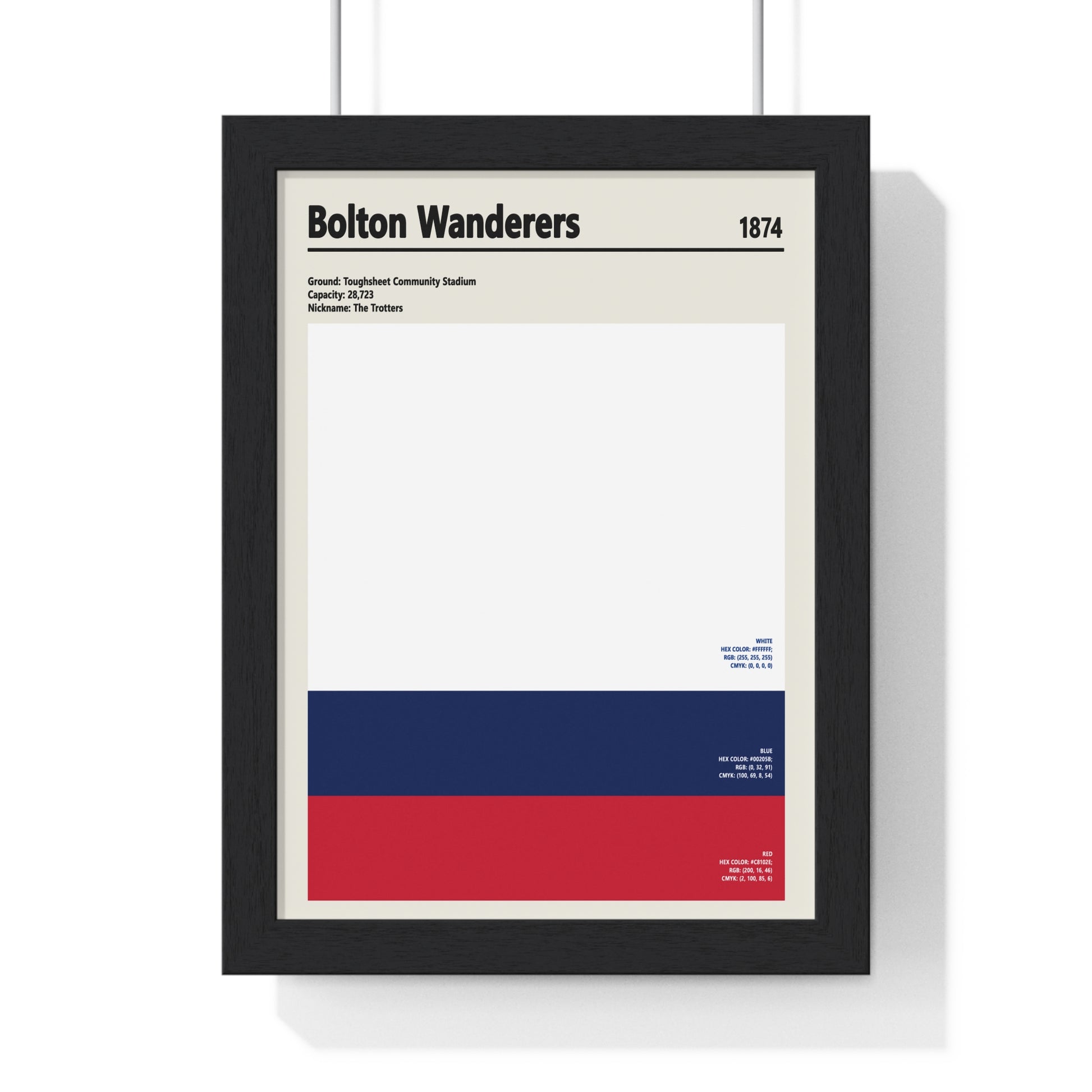 Bolton Wanderers colour swatch print football wall art
