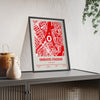 Framed Emirates Stadium map print