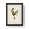 Fern Print framed in a black frame, ready to hang