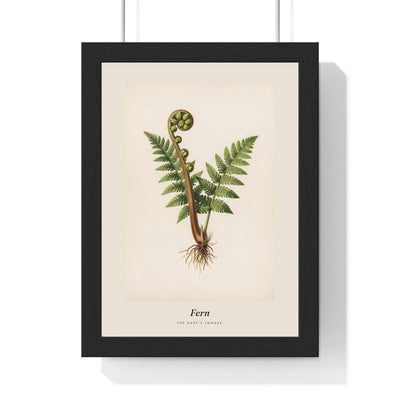 Fern Print framed in a black frame, ready to hang