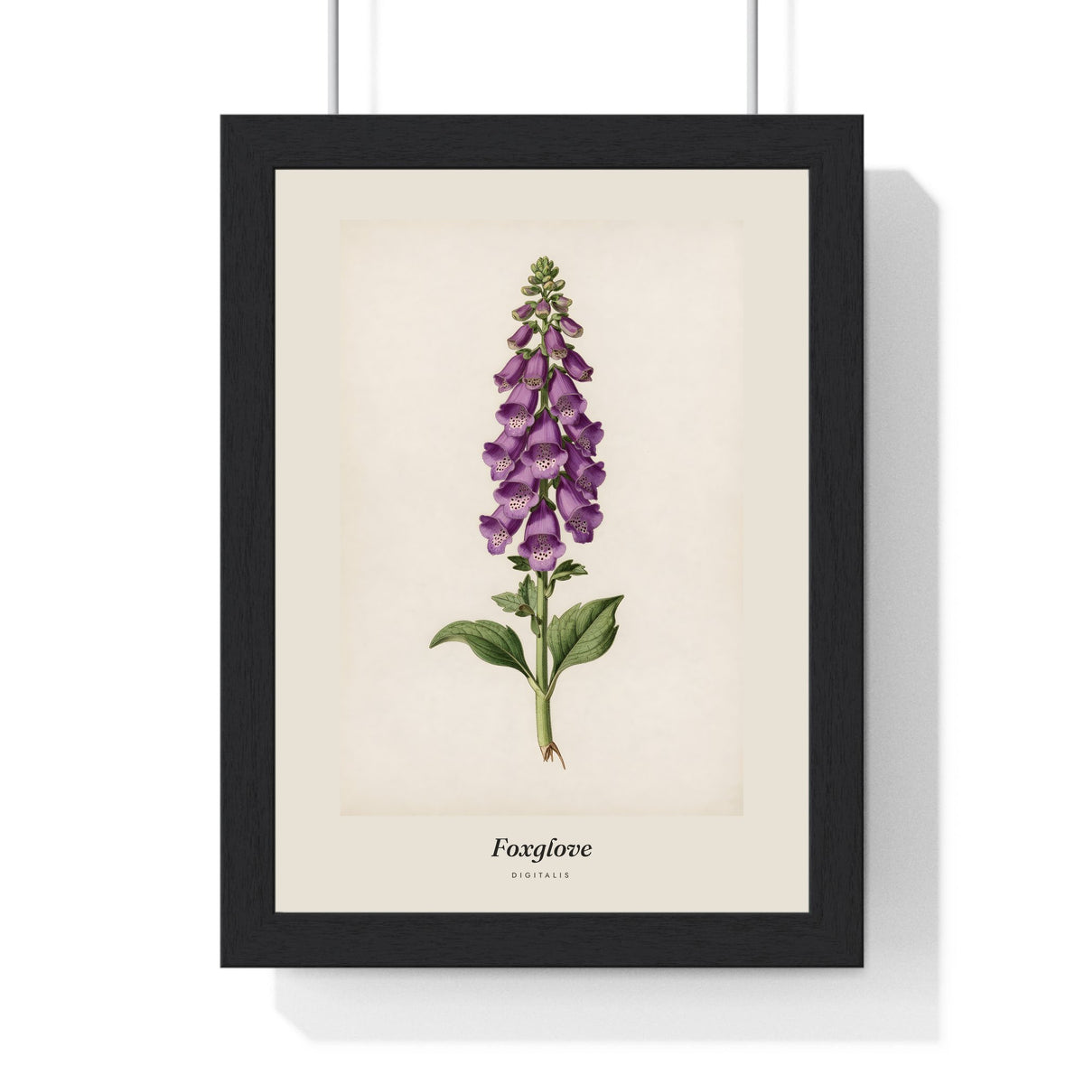 Foxglove Print framed in a black frame, ready to hang