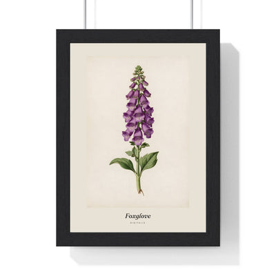 Foxglove Print framed in a black frame, ready to hang