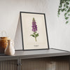 Foxglove Print framed and leaning on a sideboard