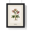 Hellebore Print framed in a black frame, ready to hang