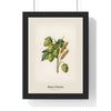 Hops and Barley Print framed in a black frame, ready to hang