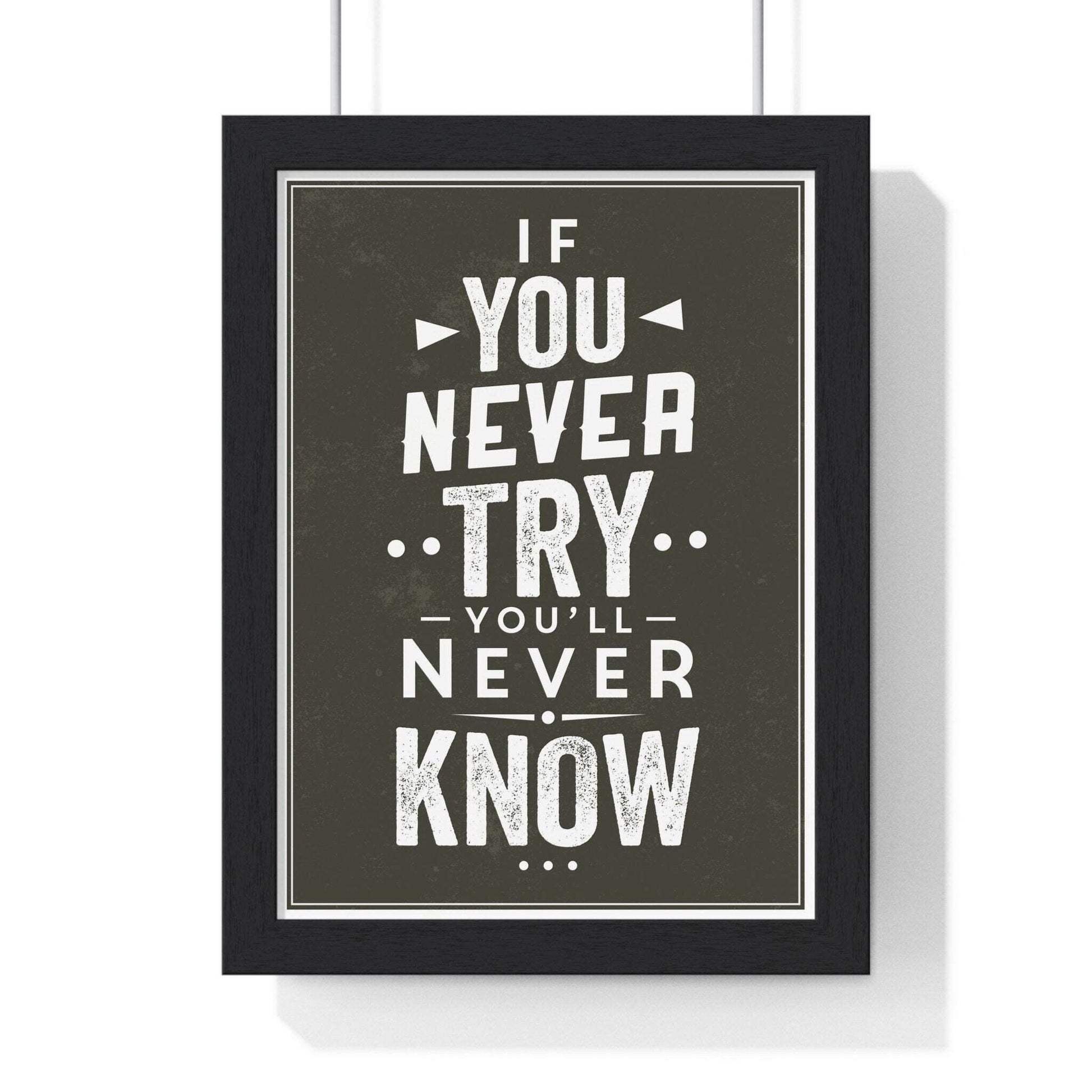 If You Never Try Motivational Poster