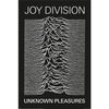Framed Joy Division Unknown Pleasures Album Artwork maxi poster