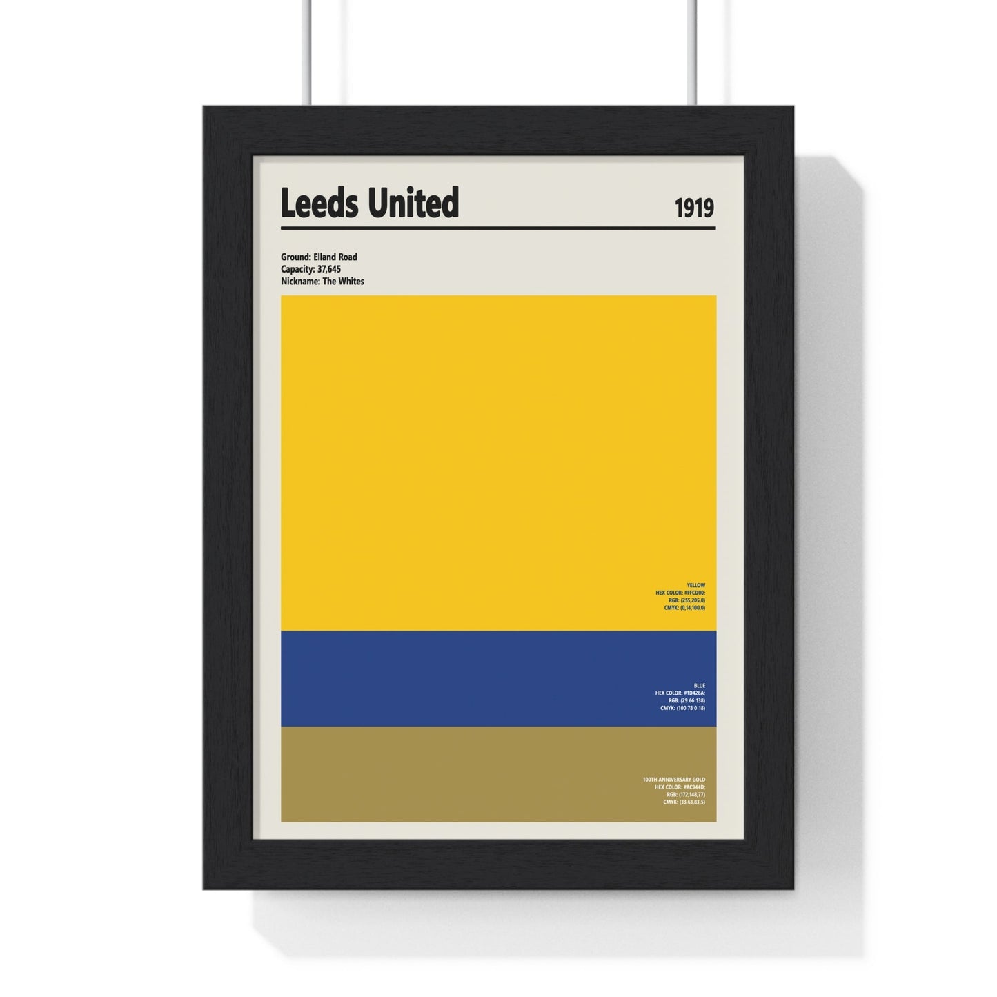 Framed Leeds United colour swatch print