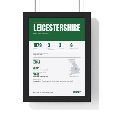 Leicestershire Cricket print framed in a black frame, ready to hang