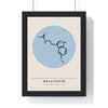 Melatonin Molecule print framed in a black frame, ready to hang