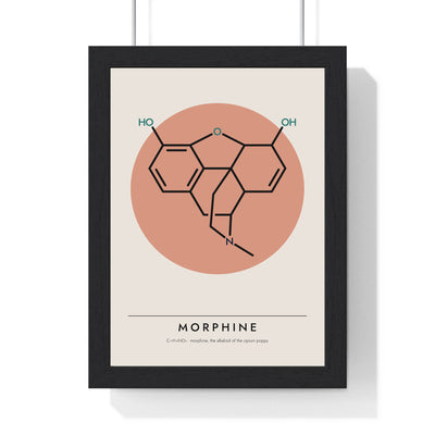 Morphine Molecule print framed in a black frame, ready to hang
