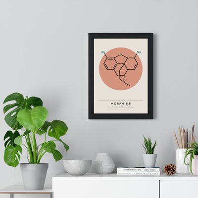 Morphine Molecule print framed on a living room wall
