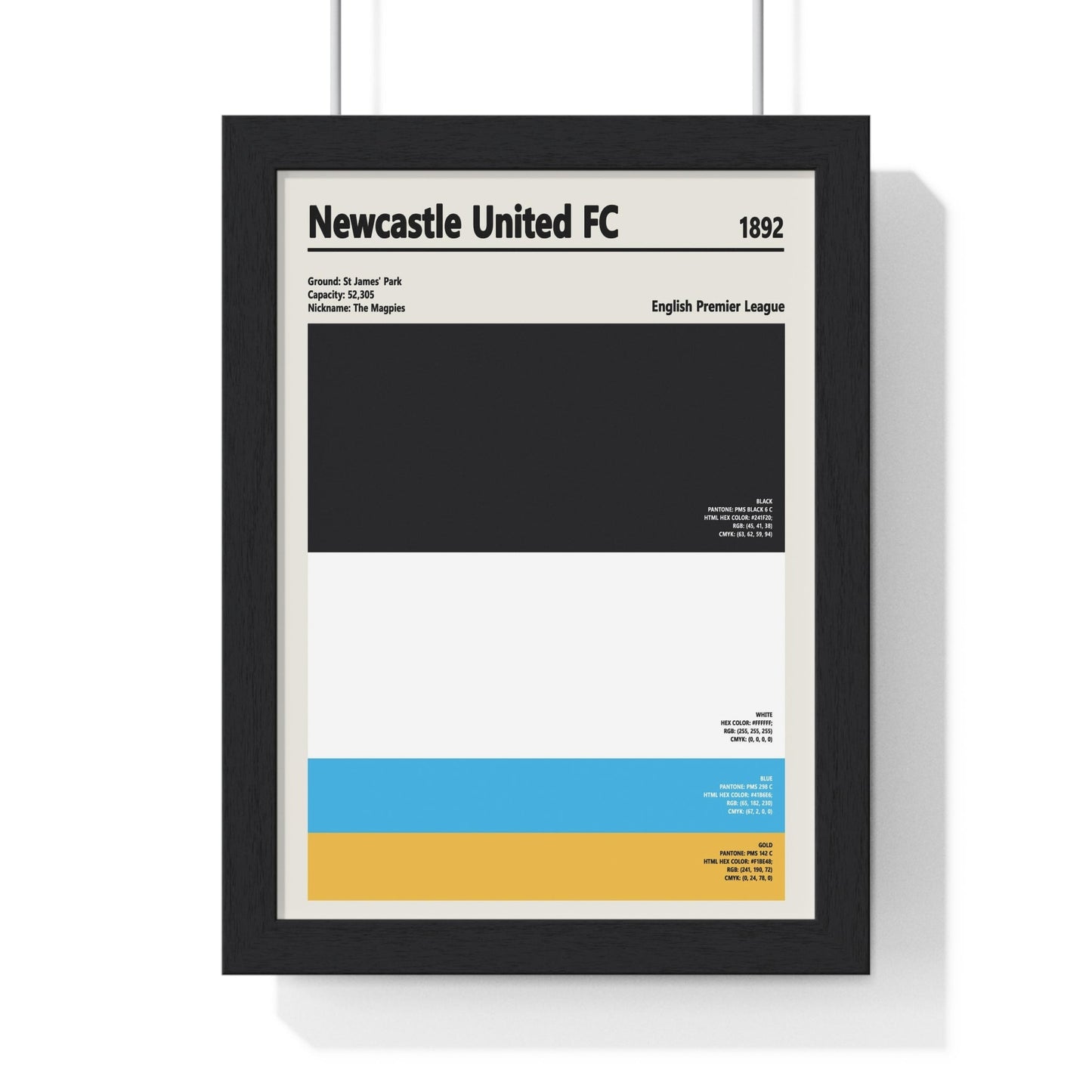 Framed Newcastle United colour swatch print