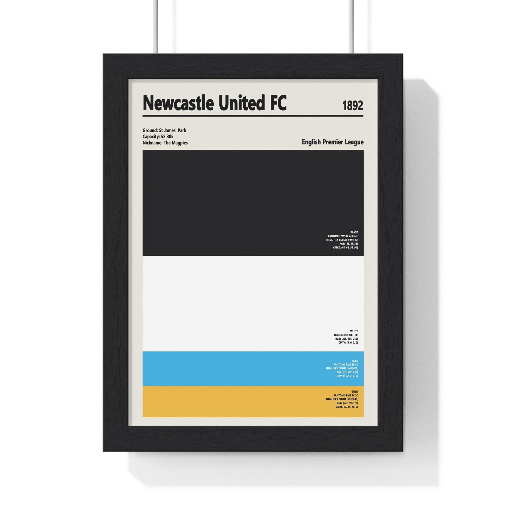 Framed Newcastle United colour swatch print