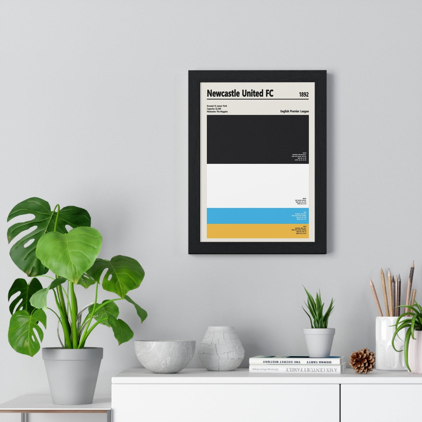 Framed Newcastle United colour swatch print