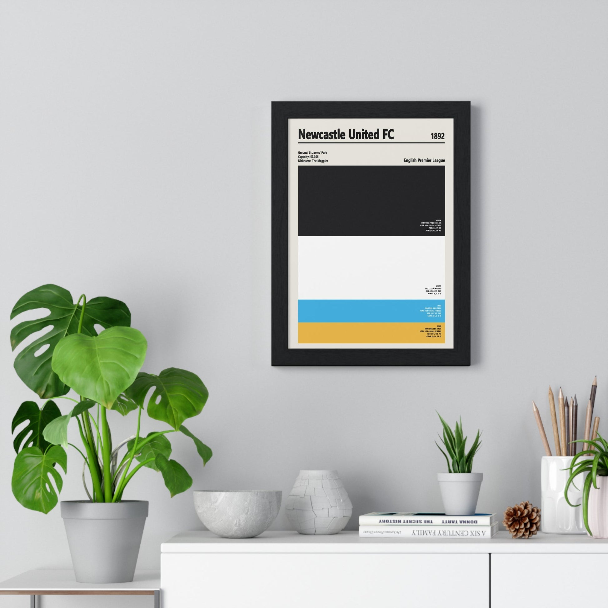 Framed Newcastle United colour swatch print