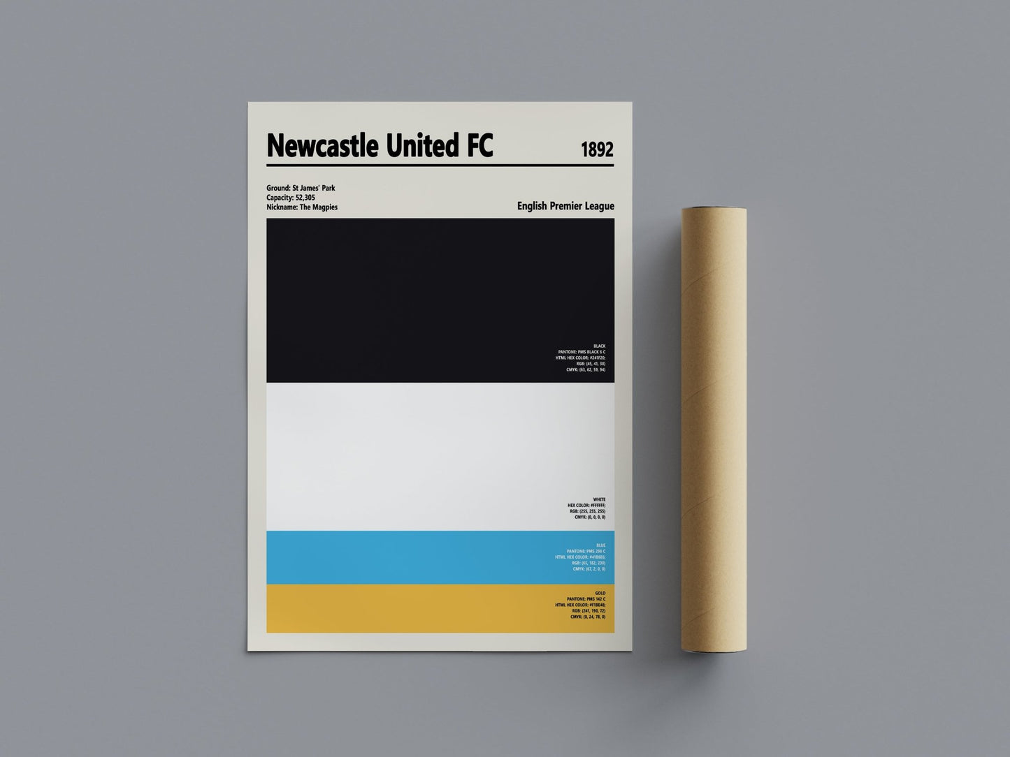 Framed Newcastle United colour swatch print
