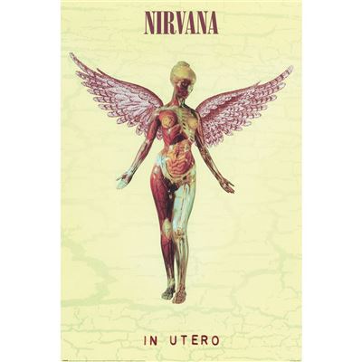 Framed Nirvana In Utero Album Artwork maxi poster