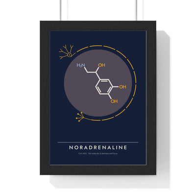 Noradrenaline Molecule print framed in a black frame, ready to hang