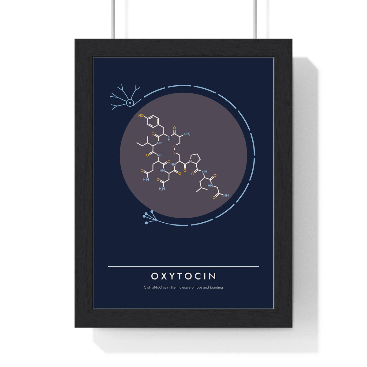 Oxytocin Molecule print framed in a black frame, ready to hang